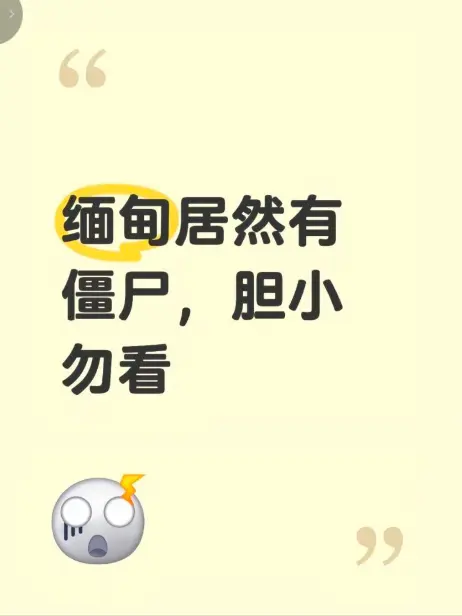 《缅甸僵尸出土事件》高清视频现场全程录像揭秘缅北真相 - 缅甸僵尸出土事件最新高清完整版在线免费播放无删减