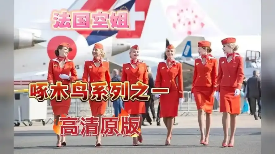 《法国空姐4》资源下载-法国空姐4完整版免费在线观看-高清4K无卡顿-赛尔VS影院