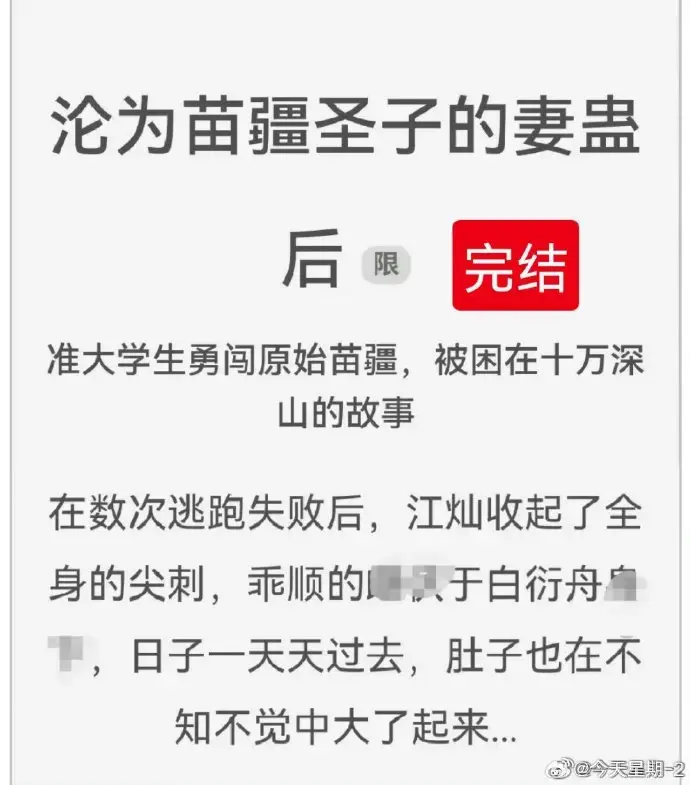 《沦为苗疆圣子的妻蛊后》狐狸雨小说全集-txt下载-免费阅读全文无广告-完结版百度云资源分享