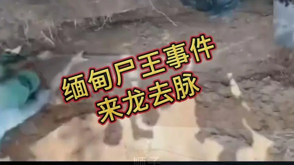 《缅甸僵尸出土事件视频》完整版资源下载 - 缅北僵尸出土事件始末原视频高清在线观看 - 全程录像免费播放